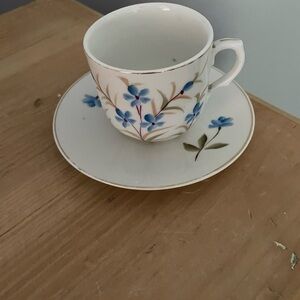 Antique Floral Teacup and Saucer Set